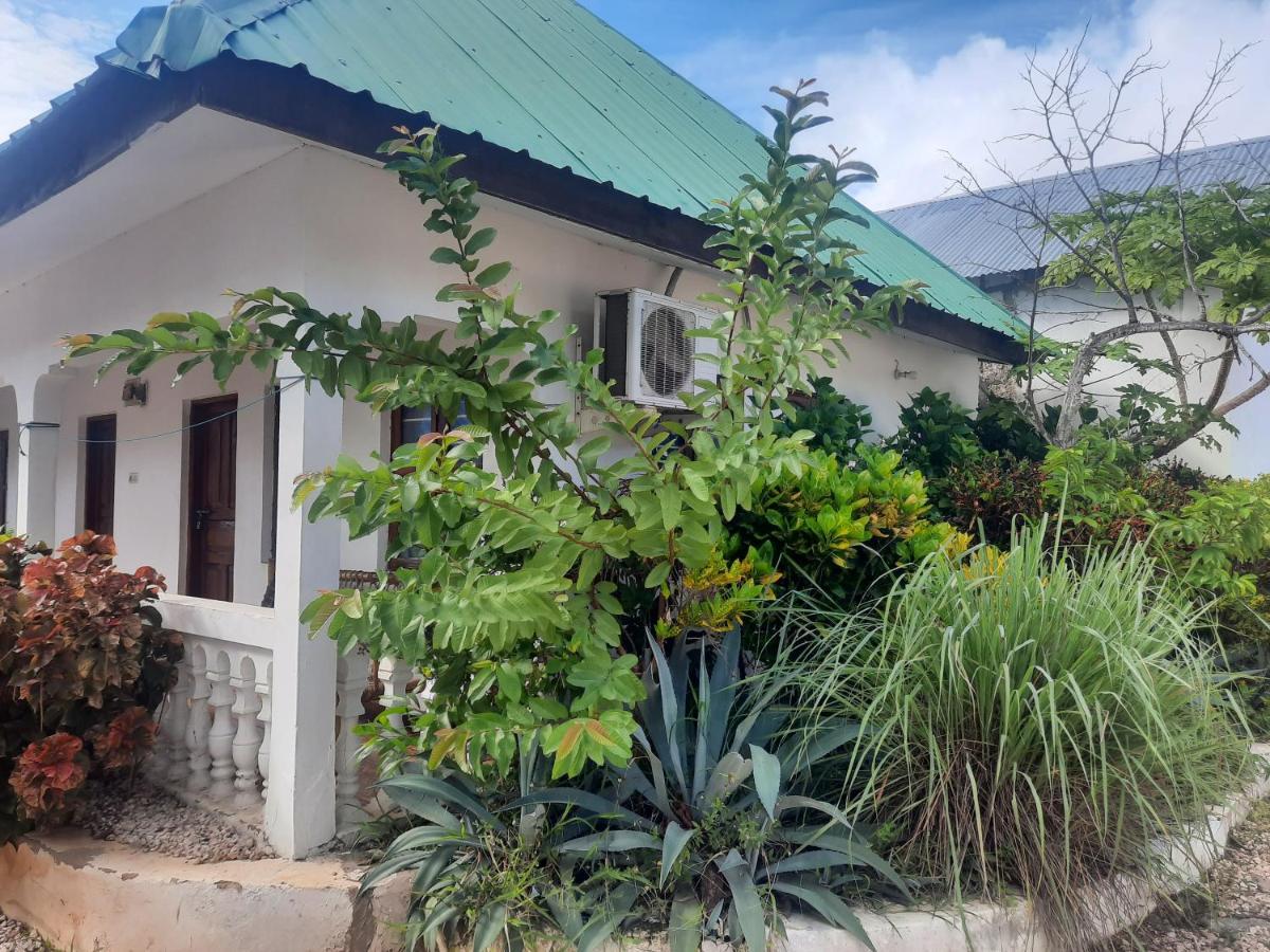 Ames Nungwi住宿加早餐旅馆 外观 照片