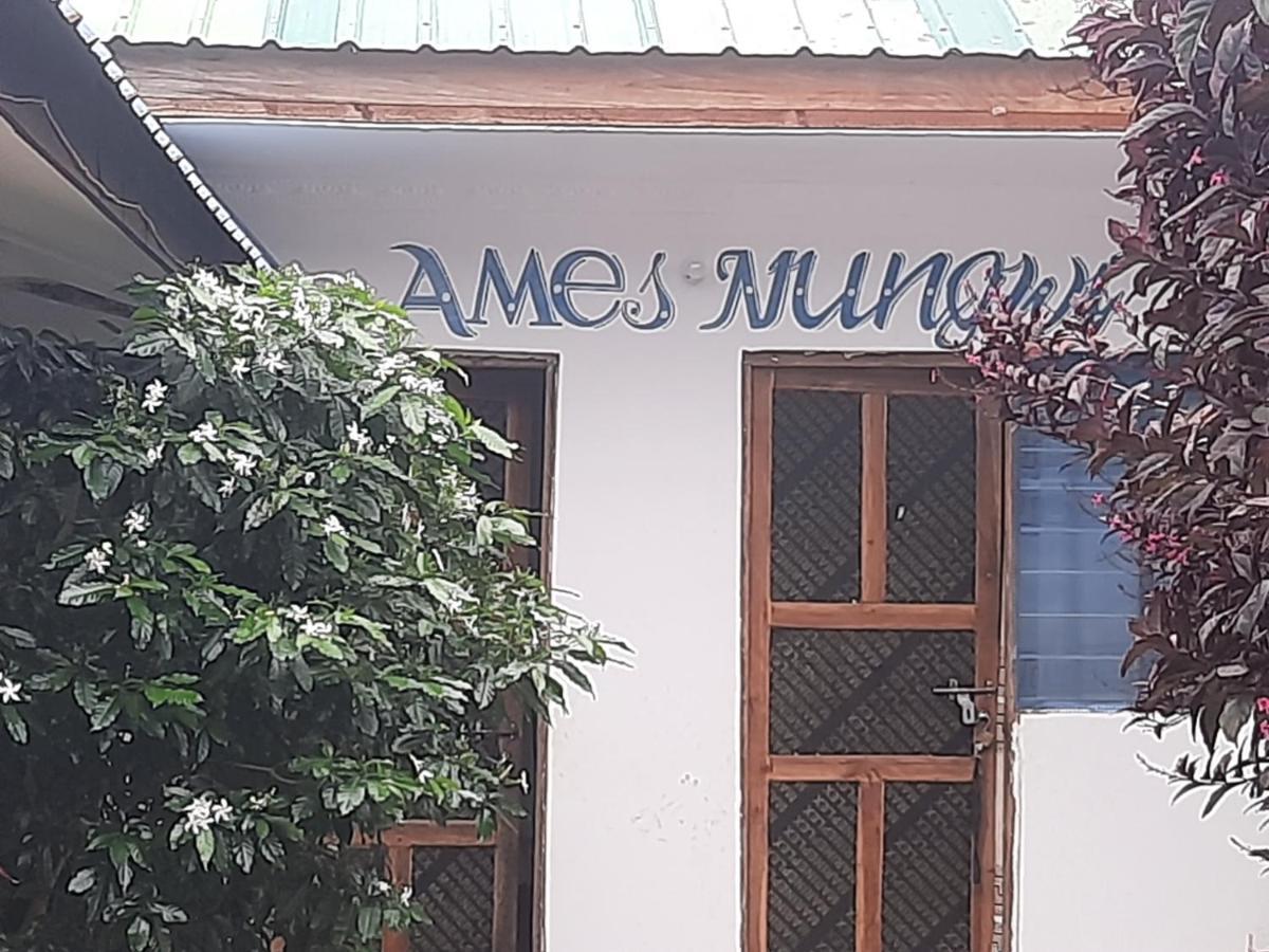 Ames Nungwi住宿加早餐旅馆 外观 照片