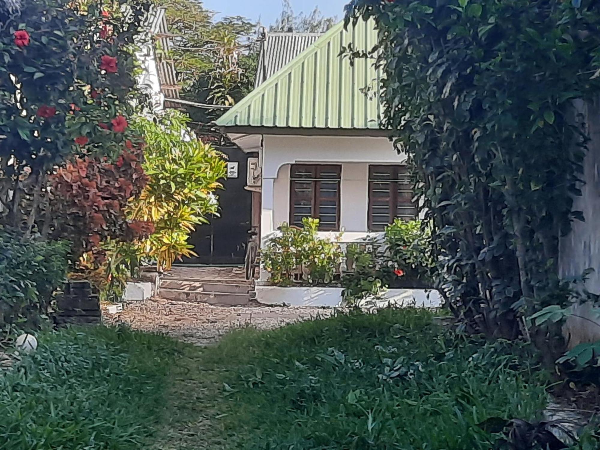 Ames Nungwi住宿加早餐旅馆 外观 照片